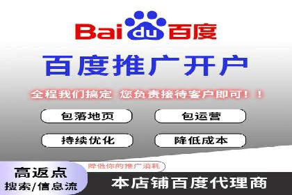 百度推广的投放策略与效果分析